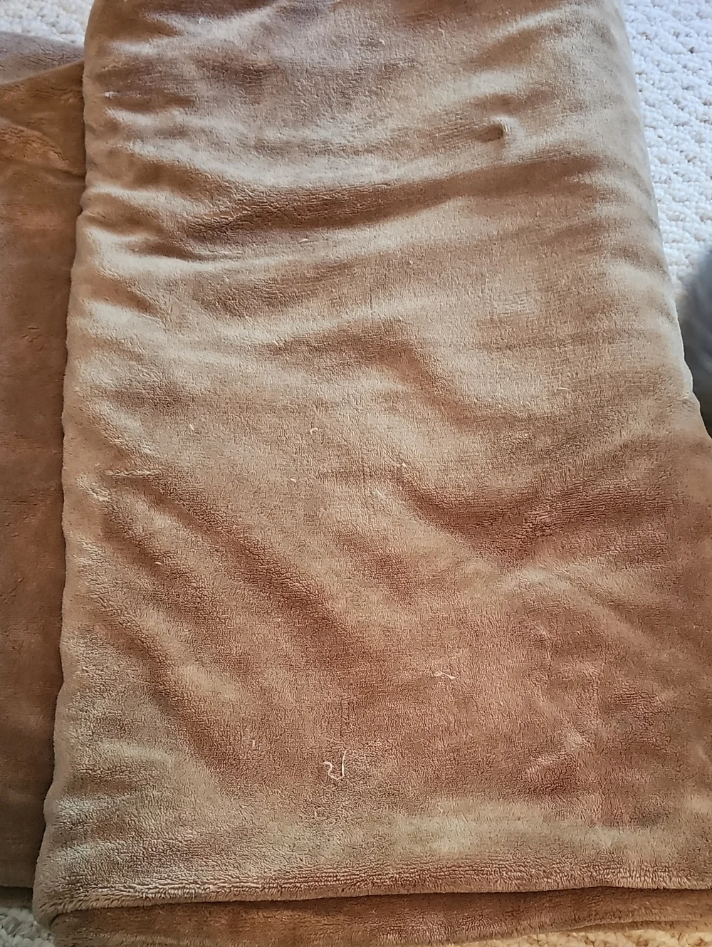 Sunbeam Electric Plush Microfiber Throw Blanket - Camel Brown